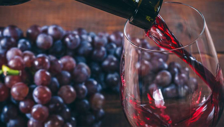 mor üzümlerde ve kırmızı şarap